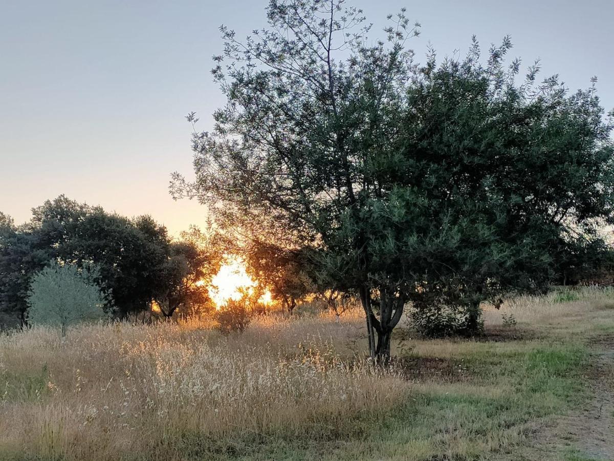 Casa Rural Camino Del Alentejo Villa La Codosera Bagian luar foto