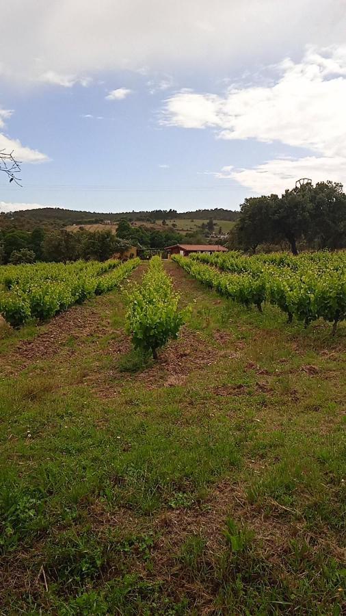 Casa Rural Camino Del Alentejo Villa La Codosera Bagian luar foto