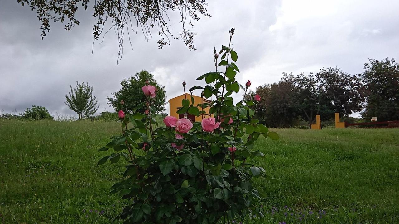 Casa Rural Camino Del Alentejo Villa La Codosera Bagian luar foto
