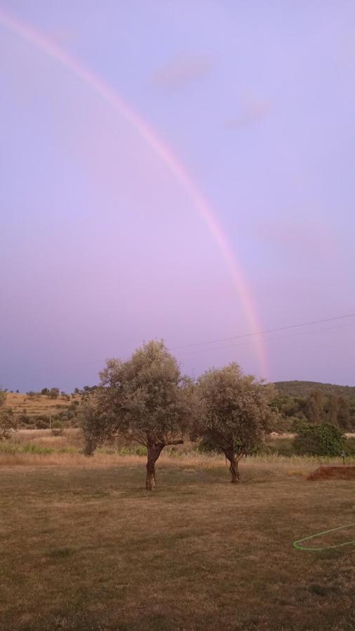 Casa Rural Camino Del Alentejo Villa La Codosera Bagian luar foto