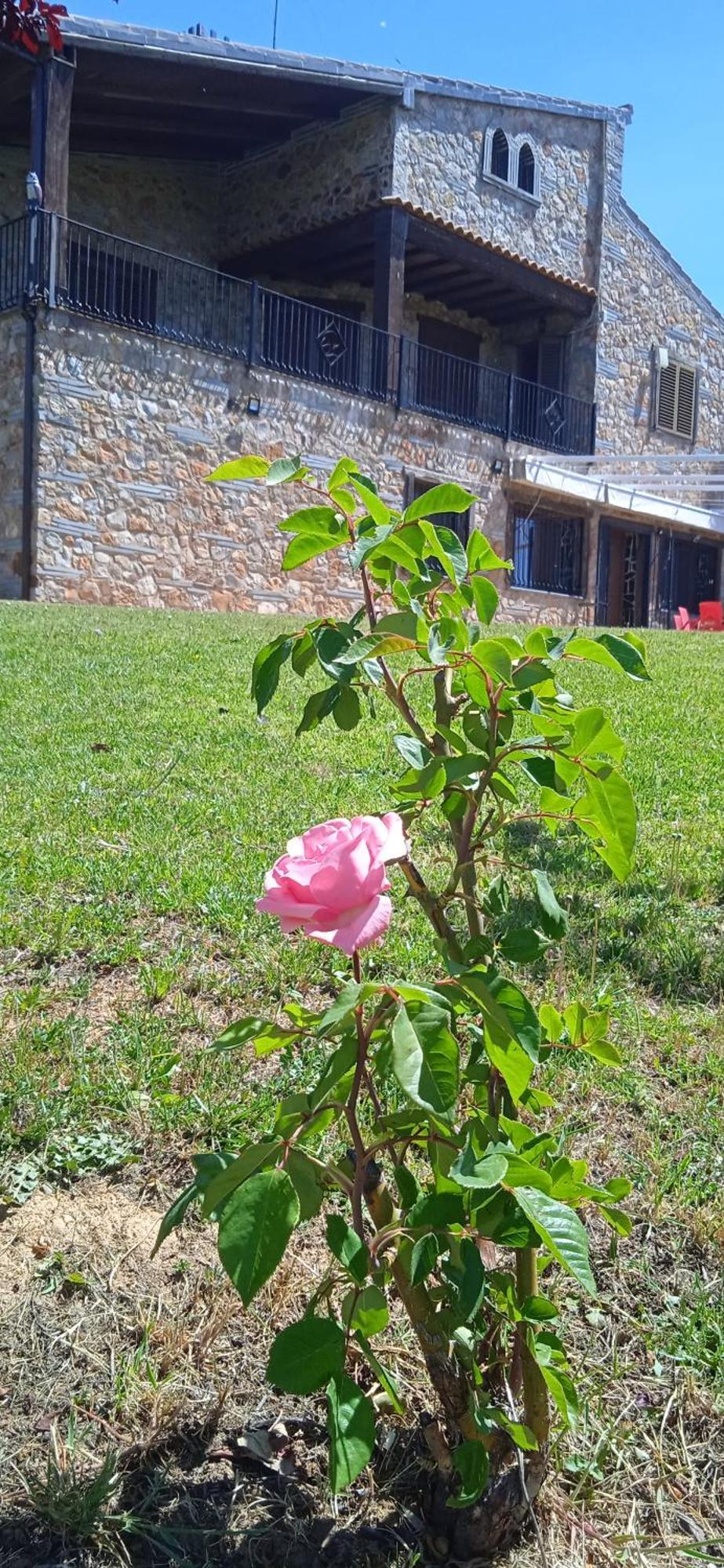 Casa Rural Camino Del Alentejo Villa La Codosera Bagian luar foto