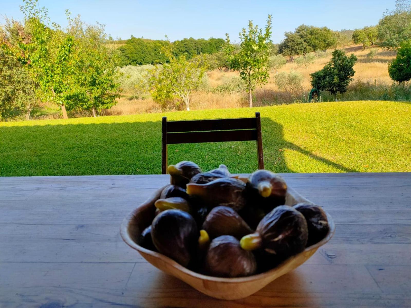 Casa Rural Camino Del Alentejo Villa La Codosera Ruang foto