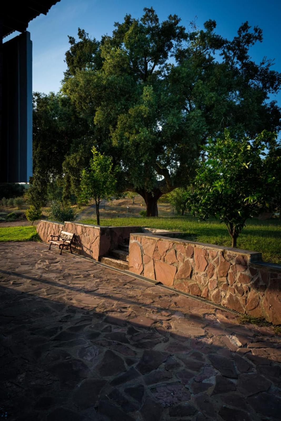 Casa Rural Camino Del Alentejo Villa La Codosera Ruang foto